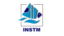 Logo INSTM